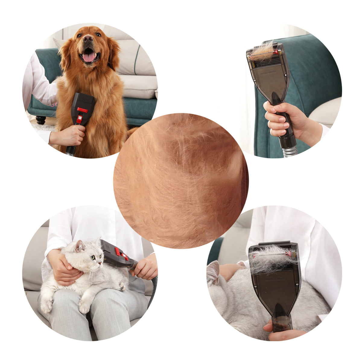 Illustration of Reducing Dog Shedding With Vacuum Attachment